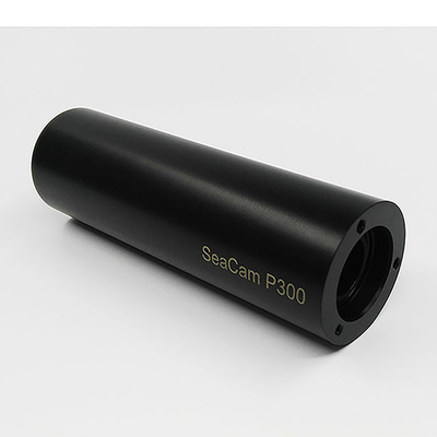 Parti di plastica per lavorazioni di precisione Delrin Pom Nylon Ptfe